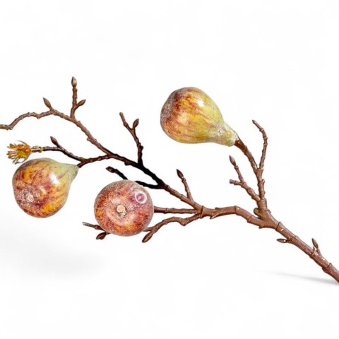 RAMO DI FICO GREEN PURPLE-GREE